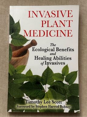 Invasive Plant Medicine The Ecological Benefits and Healing Abilities of Weeds